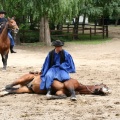 bosch nap 045