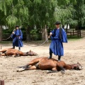 bosch nap 047
