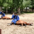 bosch nap 048