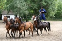 2008.05.17. BOSCH Lajosmizse